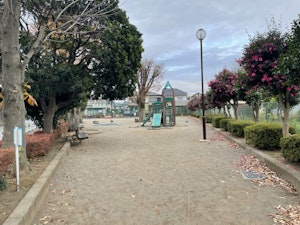 篠山公園