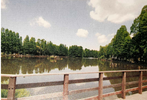 埼玉県さいたま市の別所沼公園