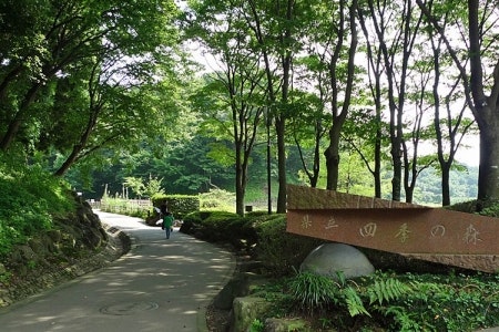 周辺環境(四季の森公園) ミモザ横濱花水木苑(サービス付き高齢者向け住宅(サ高住))の画像