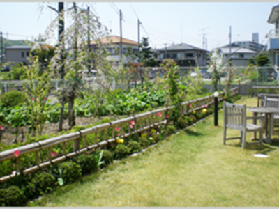 季節により彩が変化する庭園 エクセルシオール秦野(有料老人ホーム[特定施設])の画像