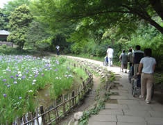 生田緑地公園散策 フローレンスケアたまプラーザ(有料老人ホーム[特定施設])の画像
