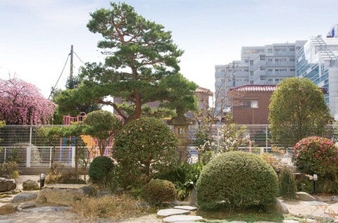 日本庭園 ハイリタイヤー金城(住宅型有料老人ホーム)の画像