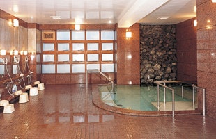 大浴場 ウェルエイジみぶ(有料老人ホーム[特定施設])の画像