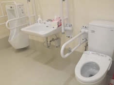 共用トイレ 新ライフパートナー平野(住宅型有料老人ホーム)の画像