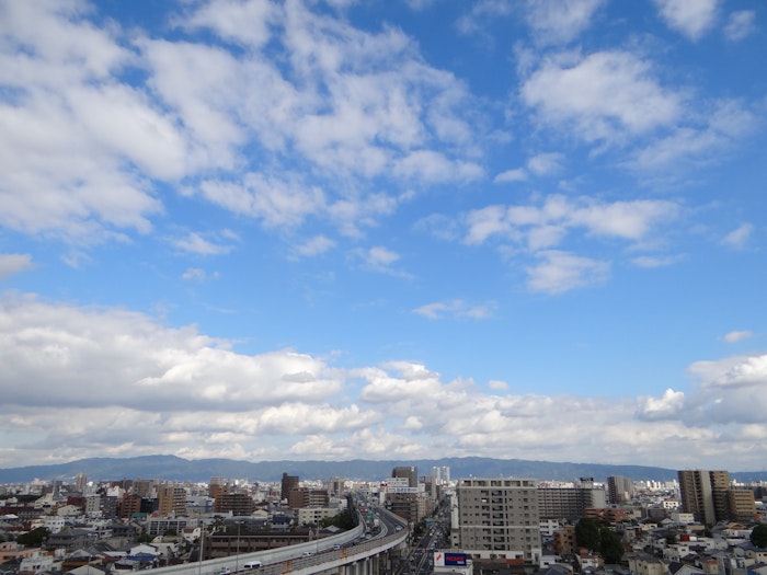 屋上テラスからの眺め ライフェル駒川(サービス付き高齢者向け住宅(サ高住))の画像
