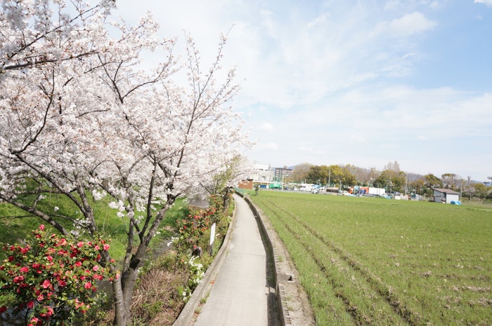 施設東側からの景色 レザミ鶴見緑地(サービス付き高齢者向け住宅(サ高住))の画像
