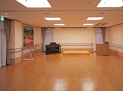 多目的ホール エイジフリー・ライフ大和田(有料老人ホーム[特定施設])の画像